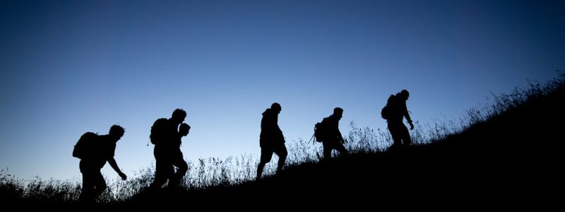 silhouette of people