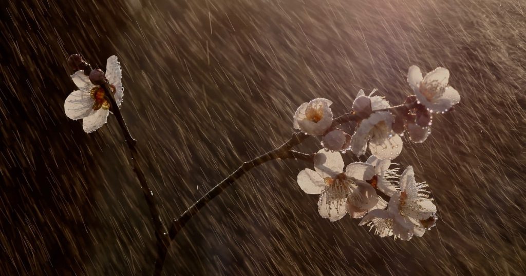 山海自有歸期，風雨自有相逢